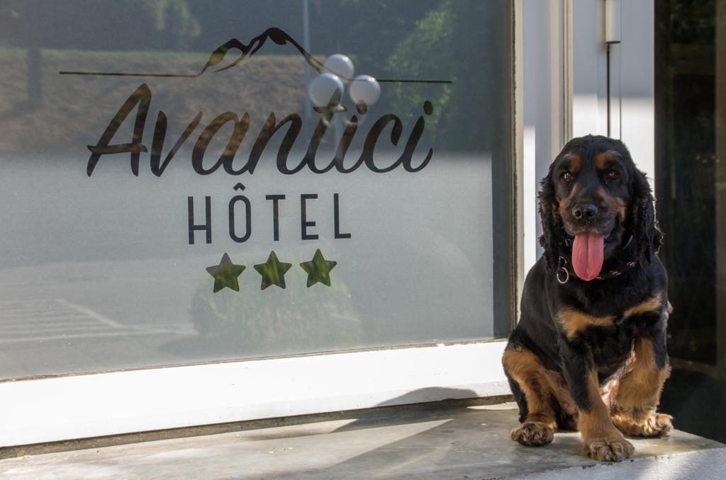 Cit'Hotel Avantici แก็ป ภายนอก รูปภาพ